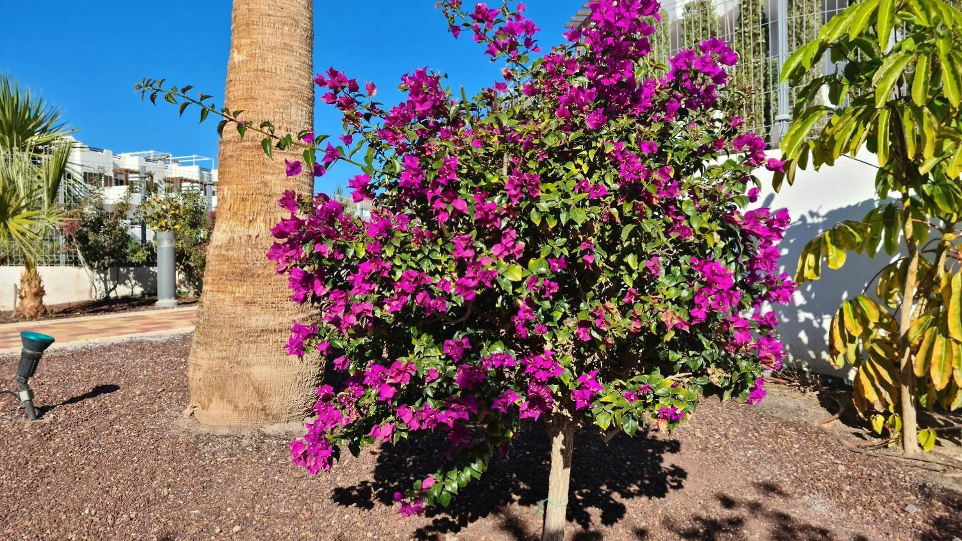 El Sueno Lägenhet San Juan de los Terreros